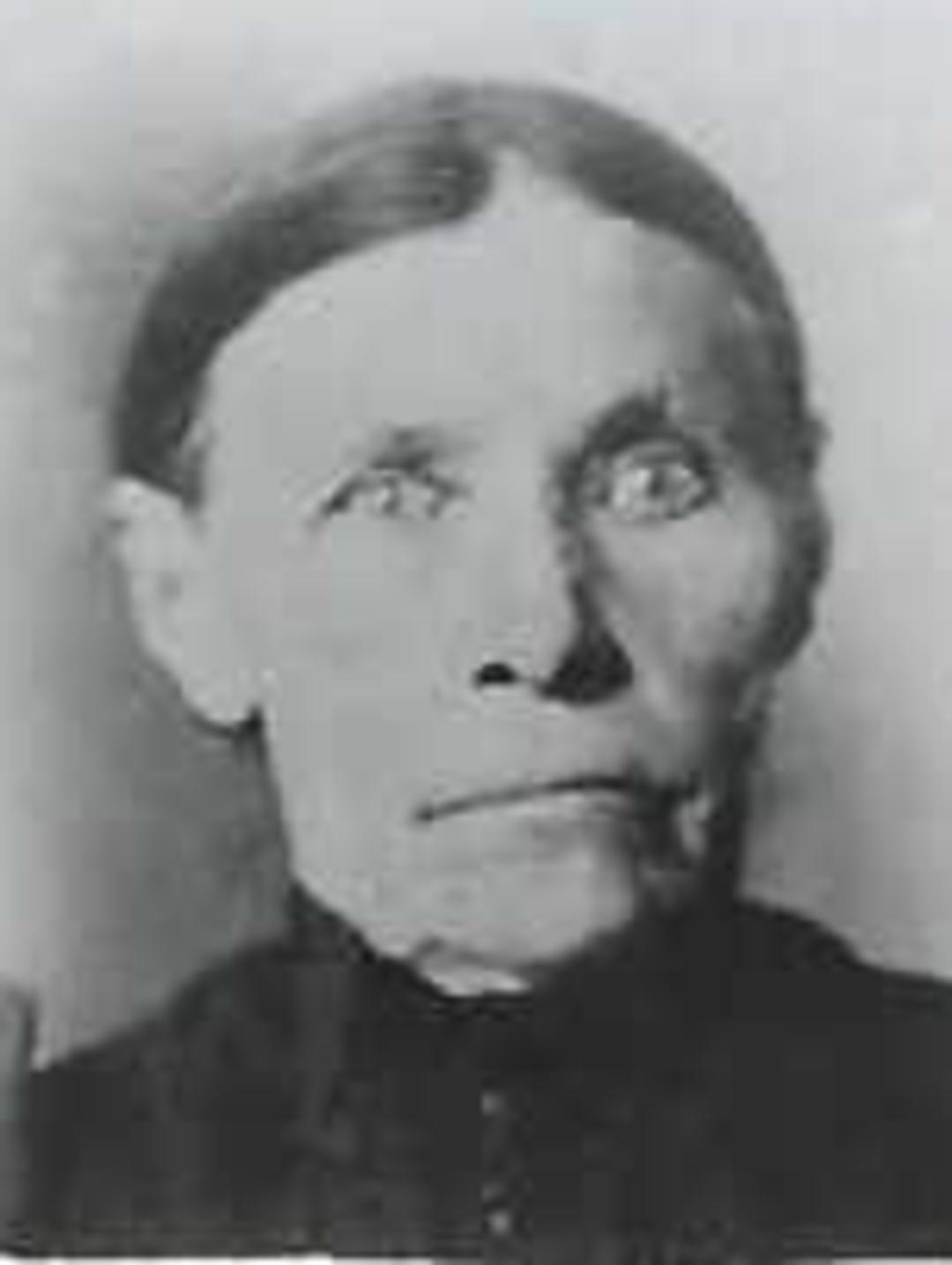 Clarissa Alger (1830 - 1907) Profile